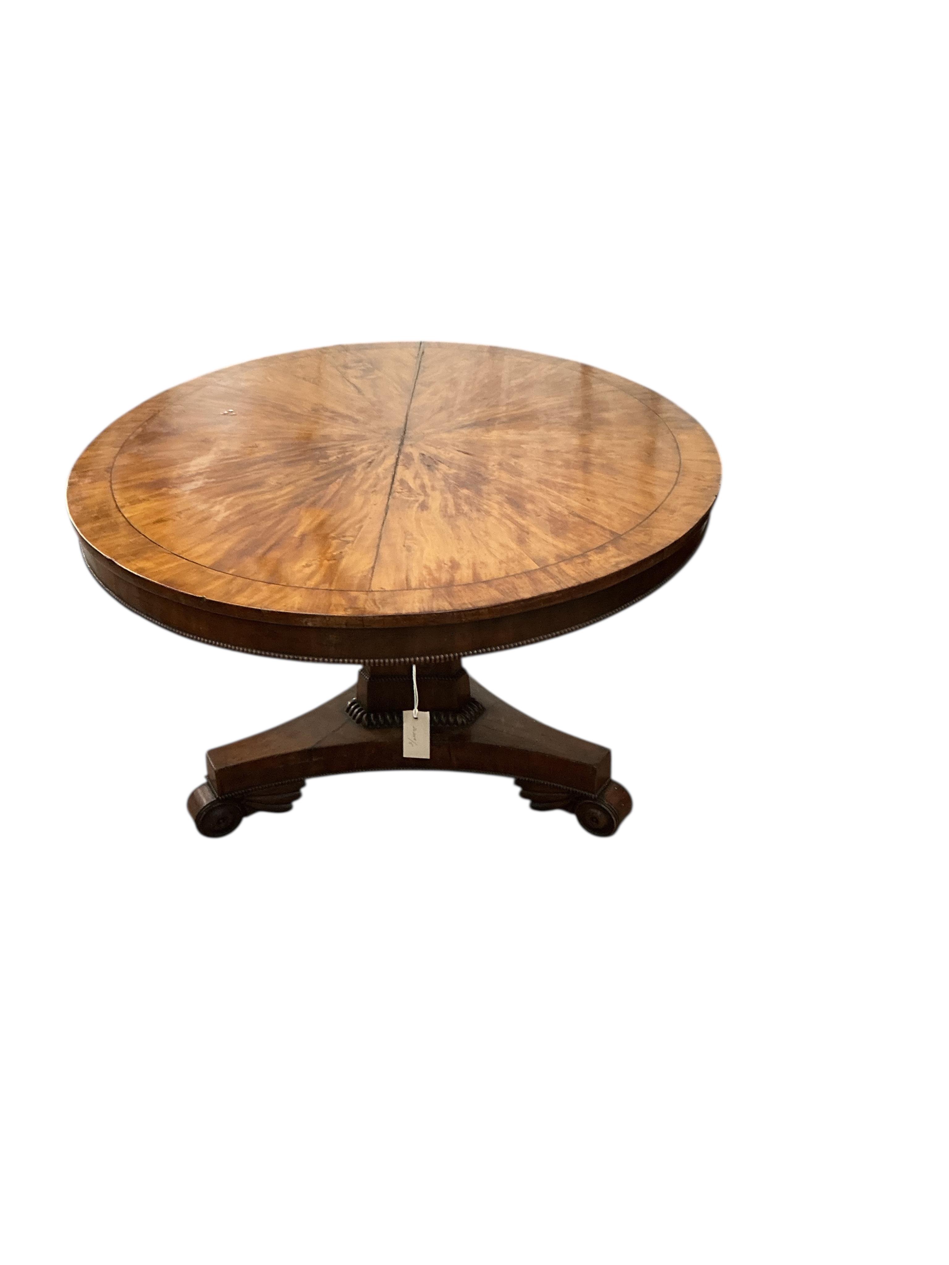 A George IV oval satinwood tilt top dining table (a.f.), width 144cm, depth 112cm, height 74cm